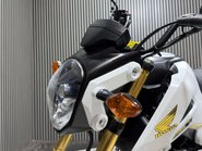Honda MSX125 2015 ONLY 8K VERY CLEAN MINI MONKEY BIKE 125CC 18