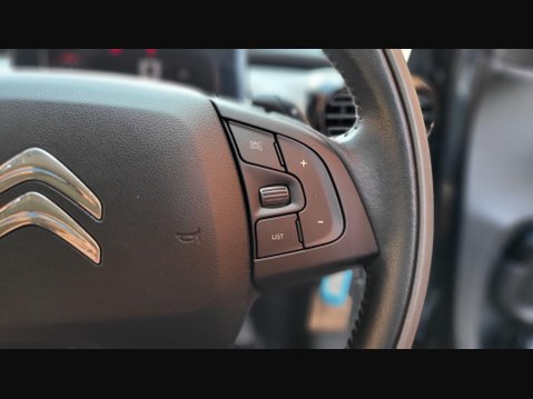 Citroen C4 Cactus PURETECH FLAIR ETG S/S 19