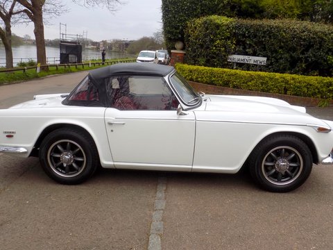 Triumph TR5 Sports 40
