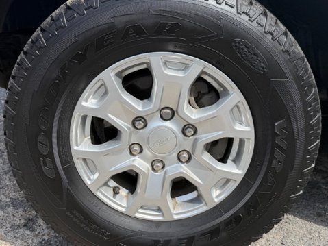 Ford Ranger XLT ECOBLUE 15