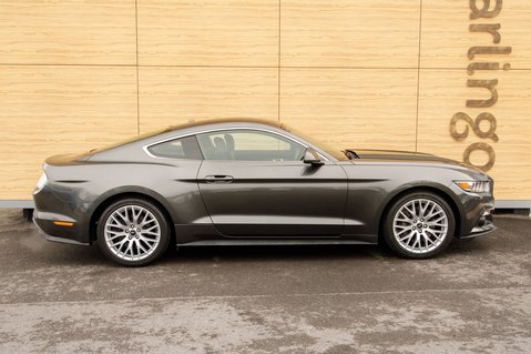 Ford Mustang ECOBOOST 12
