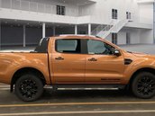 Ford Ranger 2.0 Ranger Wildtrak EcoBlue 4x4 Auto 4WD 5