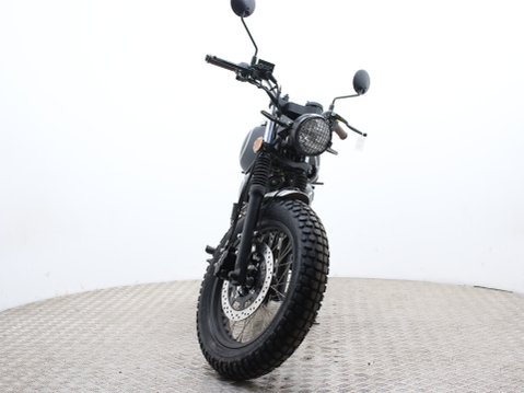 Mutt Mastiff 125 Pre-registered 9