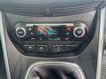 Ford C-Max 1.0T EcoBoost Titanium X Euro 5 (s/s) 5dr 17