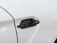 BMW M2 3.0 BiTurbo Competition Coupe 2dr Petrol DCT Euro 6 (s/s) (410 ps) 80
