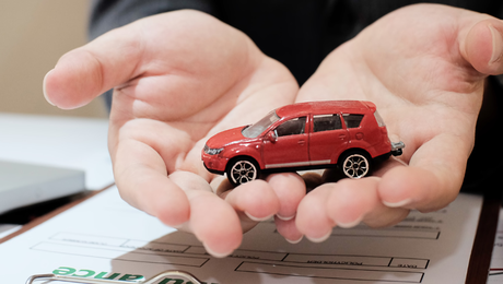 Warranties