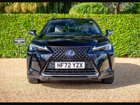 Lexus Ux 2.0 UX 250h 4x2 CVT 5dr PREMIUM SPORT EDITION 6