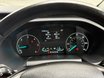 Ford Transit Custom 300 LIMITED P/V ECOBLUE 17