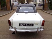 Triumph TR5 Sports 11