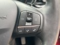 Ford Fiesta ACTIVE X 29