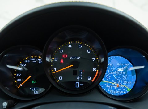 Porsche Cayman GT4 (718) 19