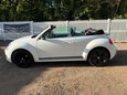 Volkswagen Beetle SPORT TDI BLUEMOTION TECHNOLOGY DSG 17