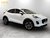 Ford Puma 1.0T EcoBoost MHEV Titanium SUV 5dr Petrol Hybrid Manual Euro 6 (s/s) (125