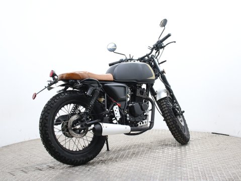 Mutt Akita 125 Pre-registered 3
