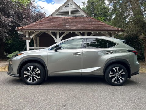Lexus NX 300H 20
