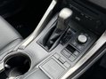 Lexus NX 2.5 300h Premier SUV 5dr Petrol Hybrid E-CVT 4WD Euro 6 (s/s) (197 ps) 48