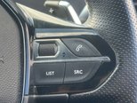 Peugeot 3008 1.6 13.2kWh GT SUV 5dr Petrol Plug-in Hybrid e-EAT Euro 6 (s/s) (225 ps) 31