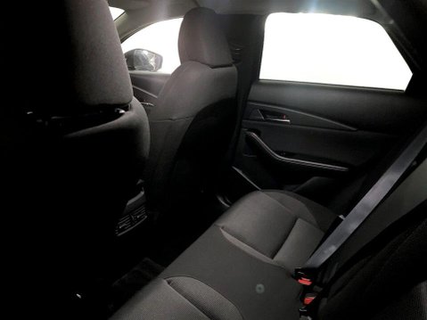Mazda CX-30 2.5 e-SKYACTIV G MHEV Homura SUV 5dr Petrol Manual Euro 6 (s/s) (140 ps) 19
