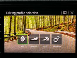 Skoda Karoq 1.5 Karoq SE L TSi Semi-Auto 5dr 47