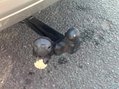 Land Rover Freelander 2 2.2 SD4 HSE CommandShift 4WD Euro 5 5dr 26