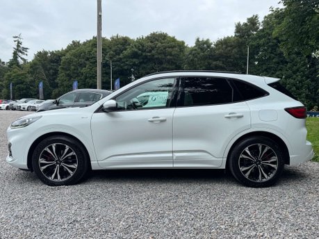 Ford Kuga 2.0 Kuga ST-Line X EcoBlue MHEV 5dr 11