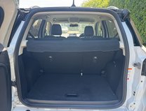 Ford Ecosport 1.0T EcoBoost ST-Line SUV 5dr Petrol Manual Euro 6 (s/s) (125 ps) 10