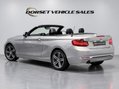 BMW 2 Series 2.0 220i Sport Euro 6 (s/s) 2dr 8