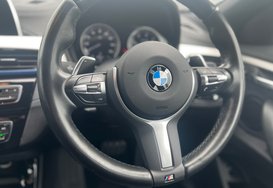 BMW X2 SDRIVE18D 2.0 M SPORT AUTO 39