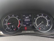 Skoda Fabia MONTE CARLO TSI 29
