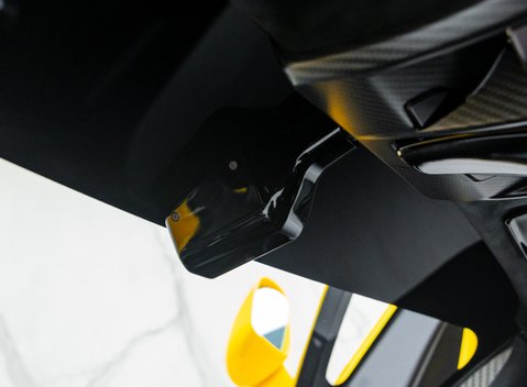 McLaren Senna GTR LM 29