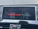 BMW X2 1.5 25e 10kWh Sport SUV 5dr Petrol Plug-in Hybrid Auto xDrive Euro 6 (s/s)  41