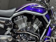 Harley-Davidson V-Rod 1130 2006 24K LONG MOT STUNNING CRUISER CUSTOM BIKE 10