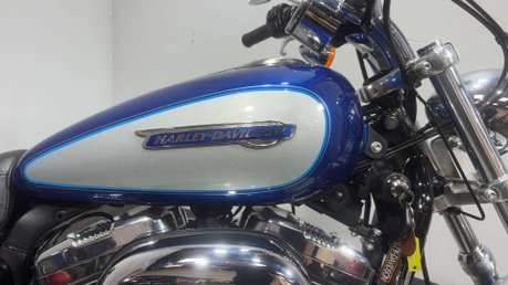 Harley-Davidson Sportster XL 1200 C 2011 ONLY 8K MOT STUNNING CRUISER BIKE 1200CC 19