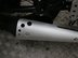 Mutt Akita 125 Pre-registered 21