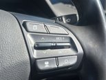 Hyundai IONIQ 38.3kWh Premium Hatchback 5dr Electric Auto (136 ps) 11
