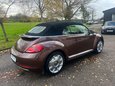 Volkswagen Beetle DESIGN TSI BLUEMOTION TECHNOLOGY 15