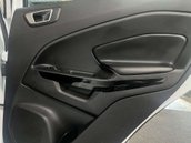 Ford Ecosport 1.0 EcoSport ST-Line 5dr 31