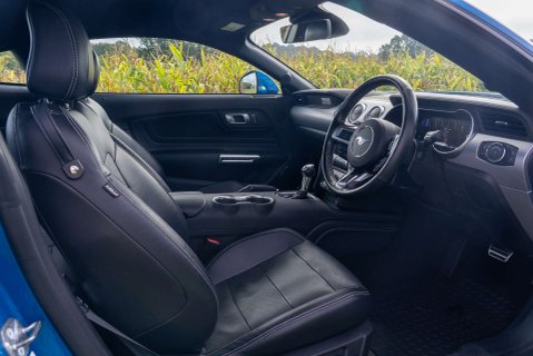 Ford Mustang 5.0 Mustang GT Auto 2dr 10