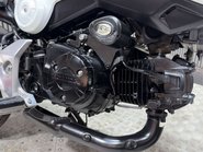Honda MSX125 2015 ONLY 8K VERY CLEAN MINI MONKEY BIKE 125CC 23