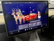Tesla Model Y (Dual Motor) Long Range SUV 5dr Electric Auto 4WDE (384 bhp) 16