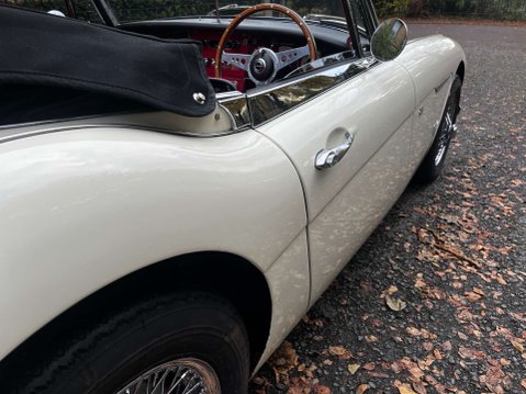Austin Healey 3000 50
