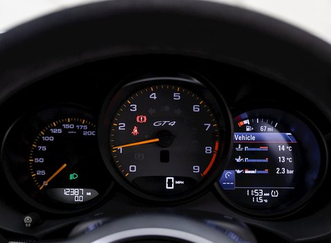 Porsche Cayman GT4 (718) 14