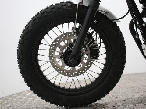 Mutt Akita 125 Pre-registered 15