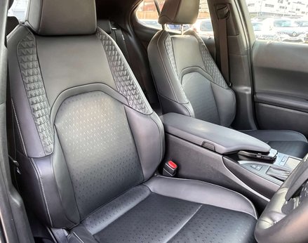 Lexus Ux 2.0 UX 250h 4x2 CVT 5dr 41