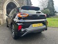 Ford Puma ST-LINE MHEV 14