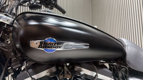 Harley-Davidson Sportster 1200 XL1200CB CB 2013 ONLY 13K LONG MOT 120CC CRUISER LOWRIDER 29