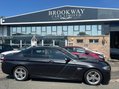 BMW 5 Series 2.0 520d M Sport Auto Euro 6 (s/s) 4dr 2