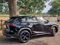 Lexus NX 300H SPORT 5