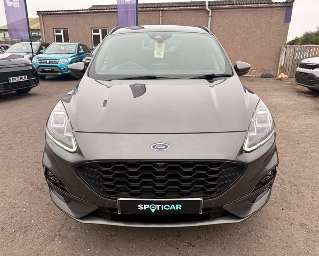 Ford Kuga ST-LINE FIRST EDITION ECOBLUE MHEV