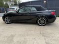 BMW 2 Series 2.0 218d M Sport 2dr 31